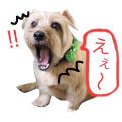 [LINEスタンプ] モルツ！