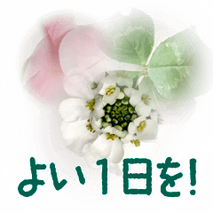 [LINEスタンプ] 花びらと葉っぱ