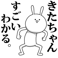 [LINEスタンプ] きも動く‼きたちゃん専用名前スタンプ