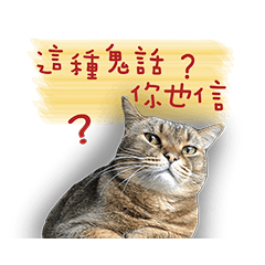 [LINEスタンプ] johnny is a cat..