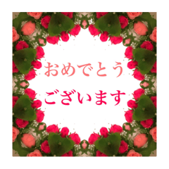 [LINEスタンプ] 基本の表現スタンプ(敬語)