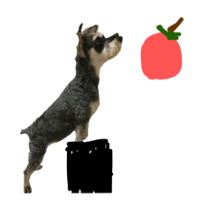 [LINEスタンプ] Apple dog nico