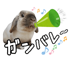 [LINEスタンプ] うさぎのマロ 2