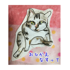 [LINEスタンプ] pretty dog and cat pic