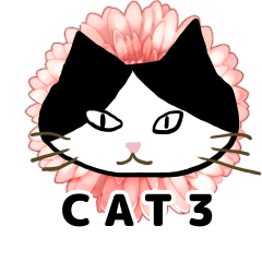 [LINEスタンプ] ねこのあいさつ かわいい版 JW3