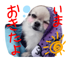 [LINEスタンプ] ガロキラルビー