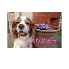 [LINEスタンプ] 楽しいことばの画像（メイン）