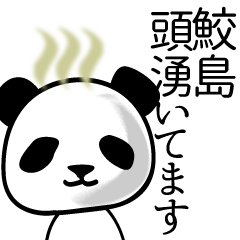 [LINEスタンプ] 鮫島■面白パンダ名前スタンプ