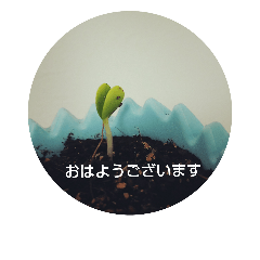 [LINEスタンプ] 植物たちの敬語の画像（メイン）