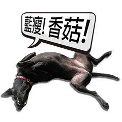 [LINEスタンプ] Royal Dogs