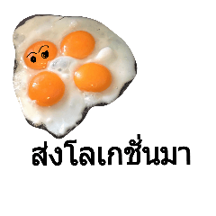 [LINEスタンプ] eggs eggs.