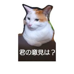 [LINEスタンプ] きなことあんこ。2