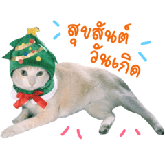 [LINEスタンプ] Michael round butt cat