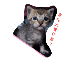 [LINEスタンプ] Cat^-^