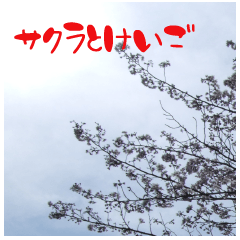 [LINEスタンプ] 桜の写真と敬語の画像（メイン）
