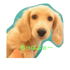 [LINEスタンプ] 侑翔な日常