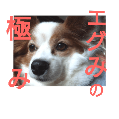 [LINEスタンプ] おジャス4