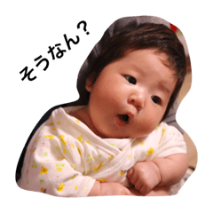 [LINEスタンプ] ひなのちゃん（n）