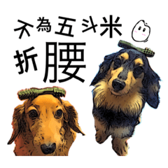 [LINEスタンプ] Long haired Dachshund-Rou Song ＆ Tie Dan