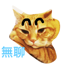 [LINEスタンプ] catty catty