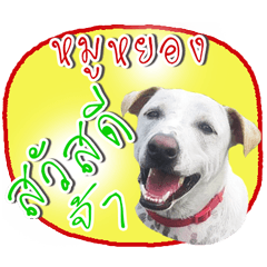 [LINEスタンプ] Dog Club No 9