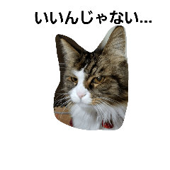 [LINEスタンプ] ニャンなど