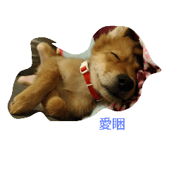 [LINEスタンプ] I love dog's