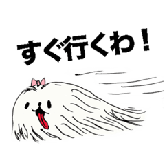 [LINEスタンプ] yorokobi inu