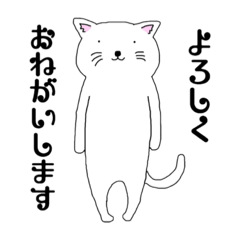 [LINEスタンプ] 使いやすい白猫スタンプ