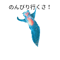 [LINEスタンプ] 海の生き物、写真スタンプ