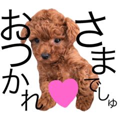 [LINEスタンプ] トイプー海くん＊baby ver.2