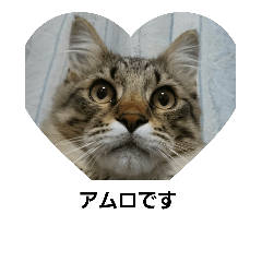 [LINEスタンプ] アムロです