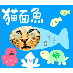 [LINEスタンプ] りーぷとぼろとちょめ