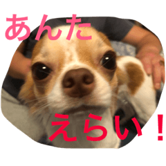 [LINEスタンプ] あぽ兄弟2