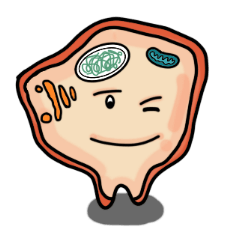 [LINEスタンプ] Cute Cells