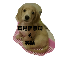 [LINEスタンプ] OMG Dog Love  You