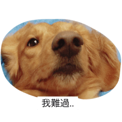 [LINEスタンプ] lydogd