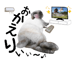 [LINEスタンプ] うさぎのマロ 3