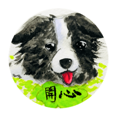 [LINEスタンプ] Border Collie - Zaoz