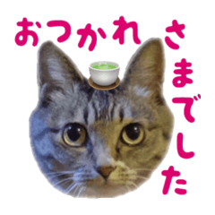 [LINEスタンプ] ねこのちよ 2