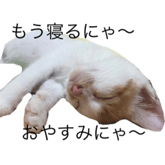 [LINEスタンプ] エイトの日常会話