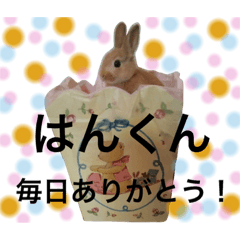 [LINEスタンプ] ありがとう！はんくん