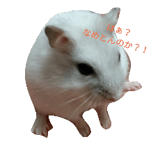 [LINEスタンプ] HamuKome 1