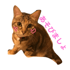 [LINEスタンプ] にゃろめすたんぷ