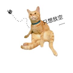 [LINEスタンプ] cattt+dogg