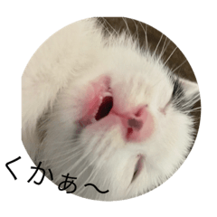 [LINEスタンプ] うらんぷ