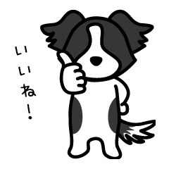 [LINEスタンプ] ワンクス ボーダーコリーキャラクター