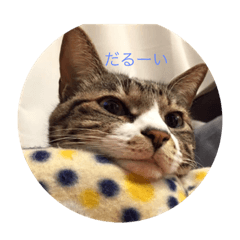 [LINEスタンプ] ちみたま スタンプ