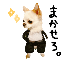 [LINEスタンプ] xxloveanimalsxx