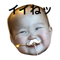 [LINEスタンプ] 薄毛のめいちゃん